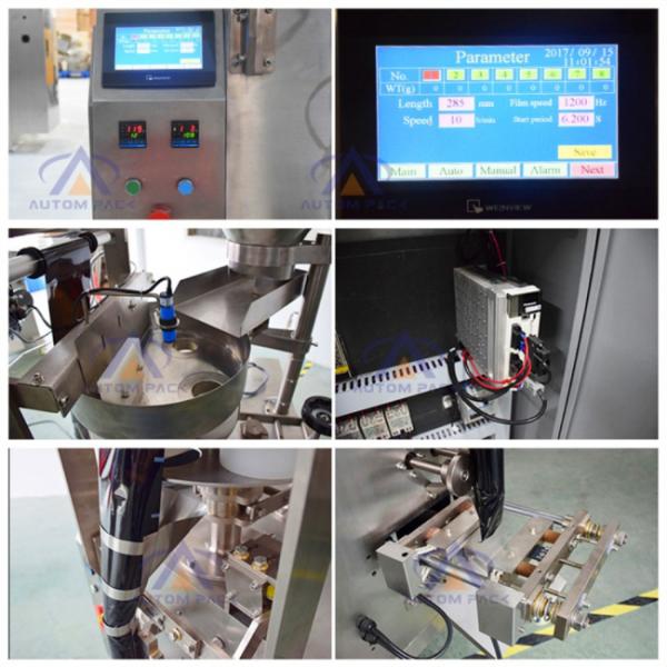 Professional Manufacture Salt Sugar Granule Packing Machine