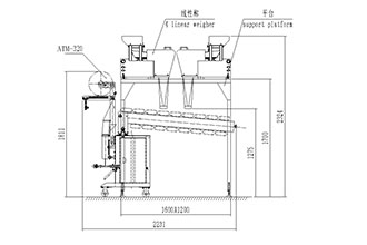 Autompack grains packing machine-two linear weighers as measurement